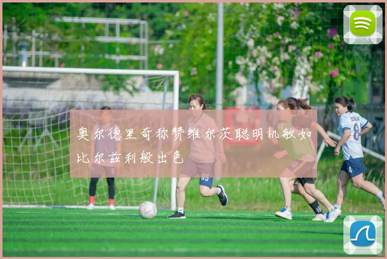 奥尔德里奇称赞维尔茨聪明机敏如比尔兹利般出色