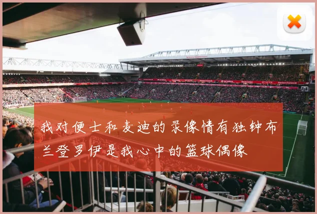 我对便士和麦迪的录像情有独钟布兰登罗伊是我心中的篮球偶像