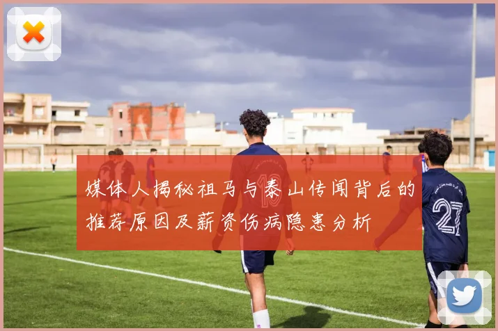 媒体人揭秘祖马与泰山传闻背后的推荐原因及薪资伤病隐患分析