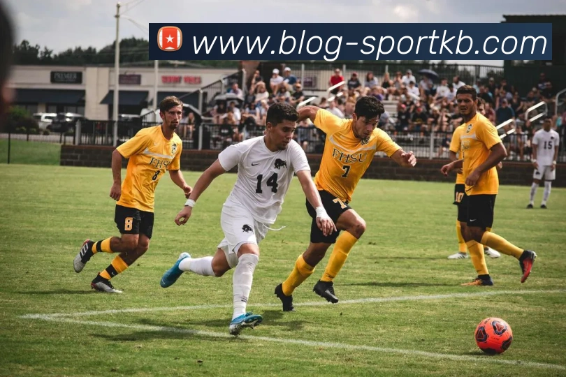 KB体育APP 封面图